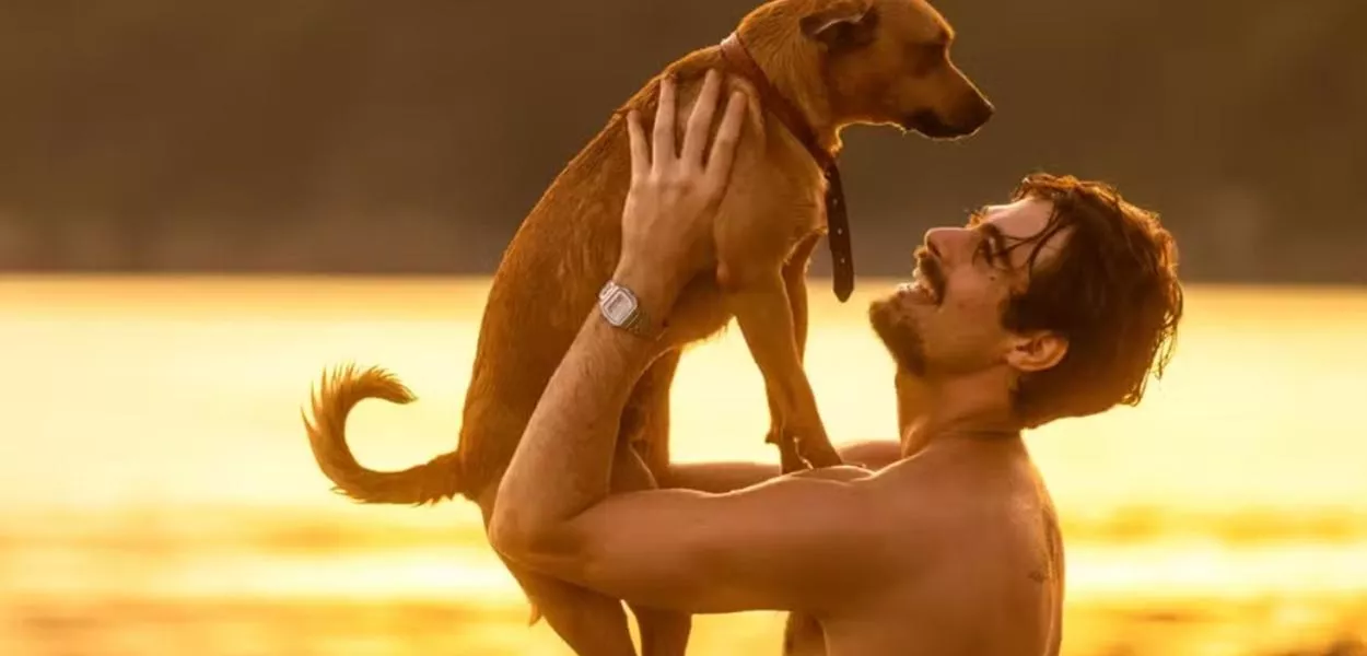 O cachorro caramelo é amado e querido no Brasil, sendo uma das identidades nacionais do país 