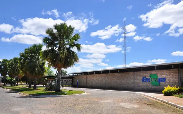 Lucro social da Embrapa cresce 17% e atinge R$ 124,7 bilhões