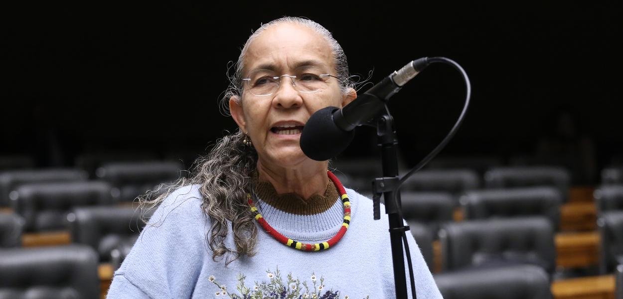 Rede vai ao STF para barrar venda de mineradora de terras raras aos EUA