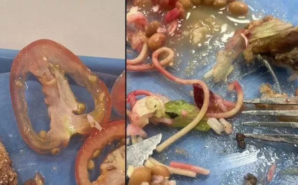 Registros de larva e pedra na comida em alimentos no refeitório da USP-RP