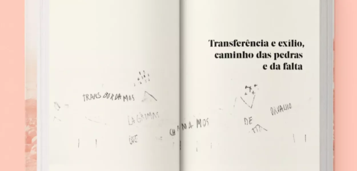 Um Diário em Aberto - frontispício do livro