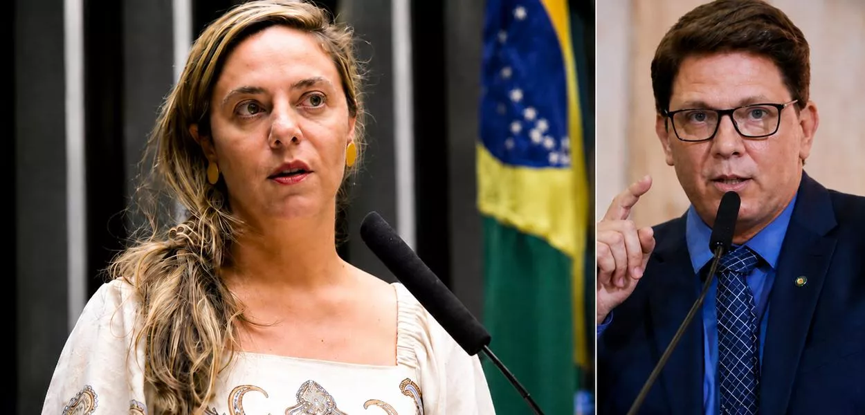 Fernanda Melchionna e Mario Frias