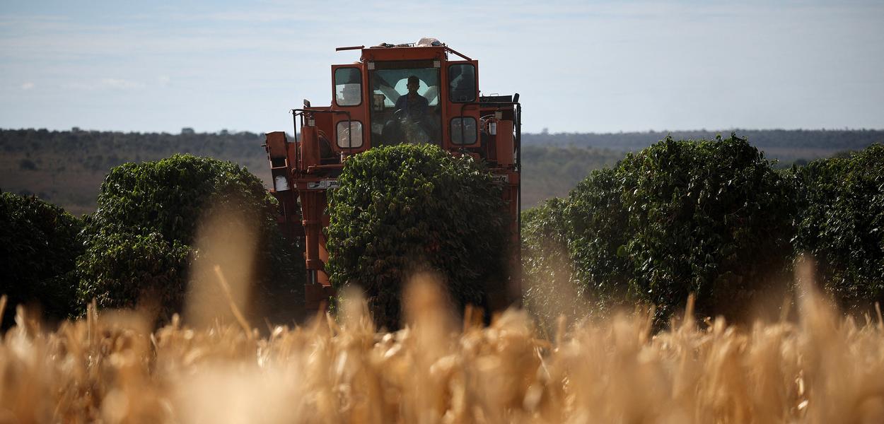 Agronegócio vê disparada na troca de CEOs no Brasil
