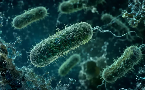 Representação da bactéria Pseudomonas aeruginosa