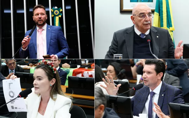 Maurício Marcon (PL-RS), Osmar Terra (PL-RS), Júlia Zanatta (PL-SC) e Gilson Marques (Novo-SC)