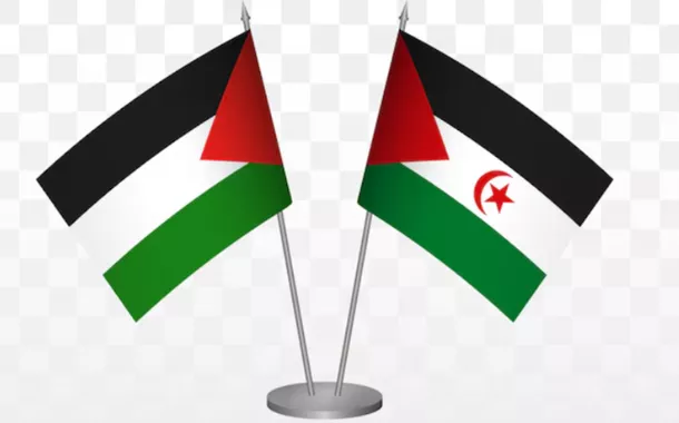 Bandeiras da Palestina e do Saara Ocidental