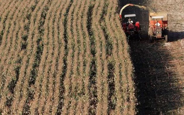 Plano Safra 2026/27: Ministério da Agricultura defende taxa de juros em um dígito para custeio