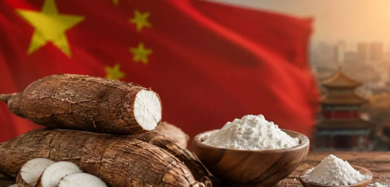 China deve ampliar demanda global por amido de mandioca; avanço abre espaço para o Brasil