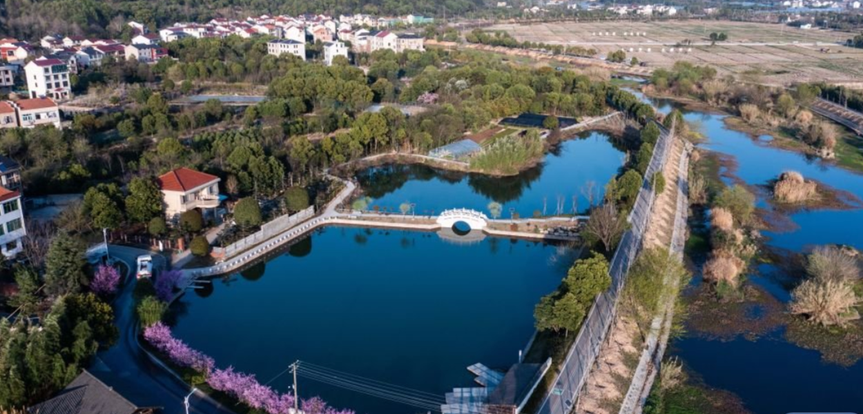 Revitalização rural e direitos humanos: a dignidade material na experiência chinesa