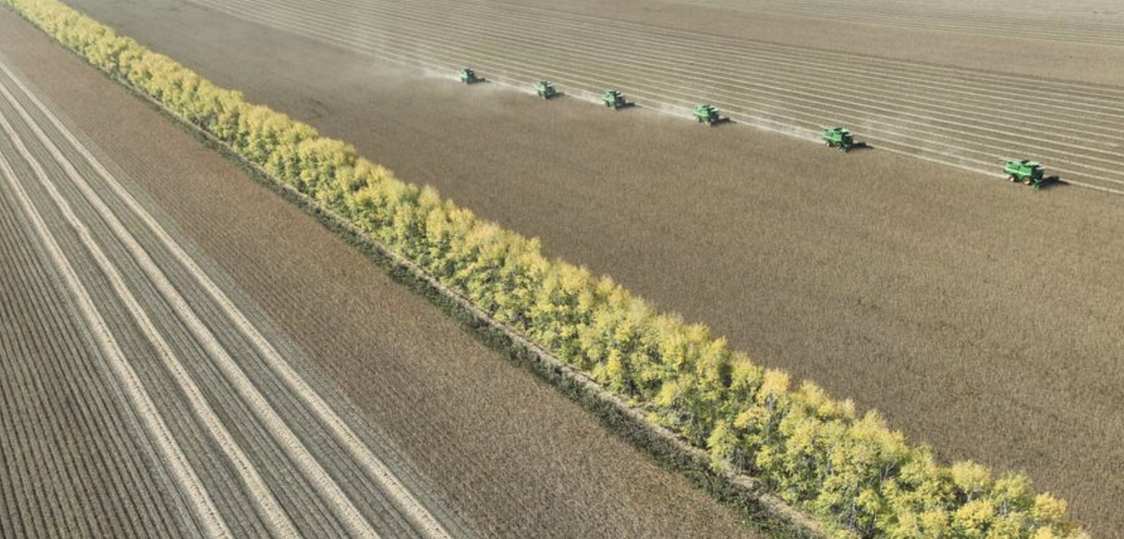 Cover image for China divulga plano quinquenal para modernização da agricultura e das áreas rurais