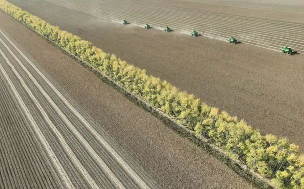 China divulga plano quinquenal para modernização da agricultura e das áreas rurais