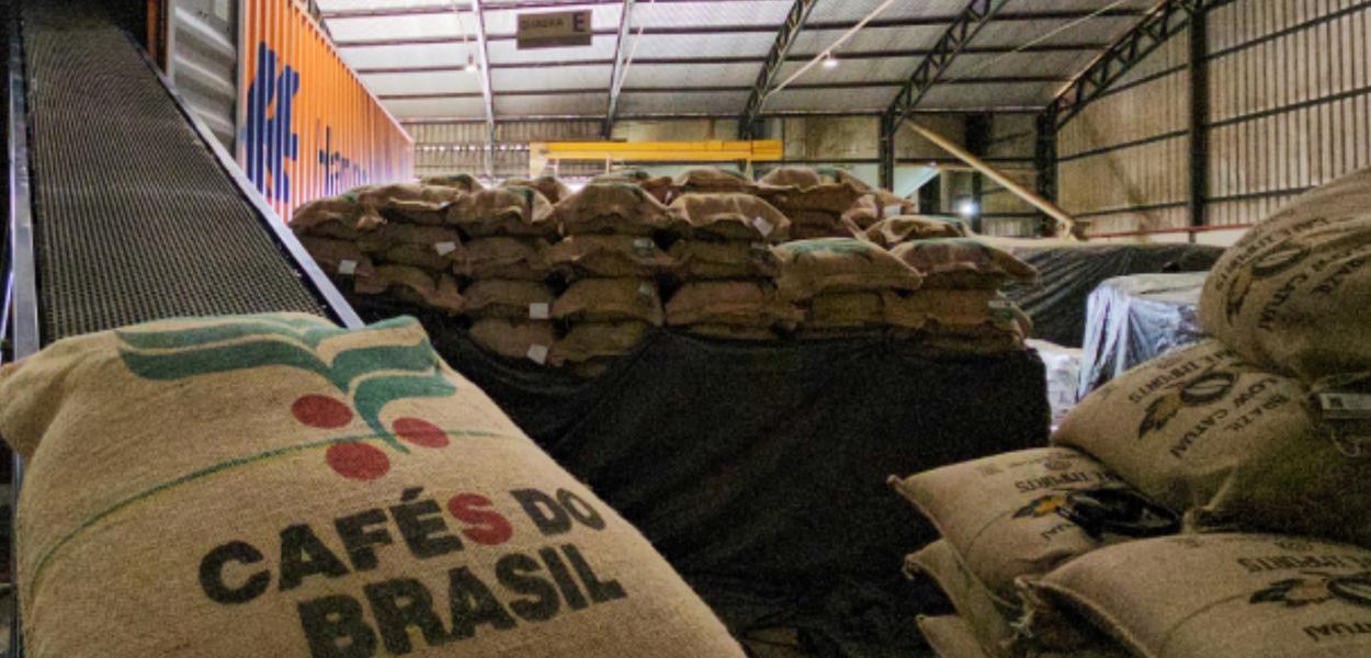 Exportações brasileiras de café caem 8,4% em maio