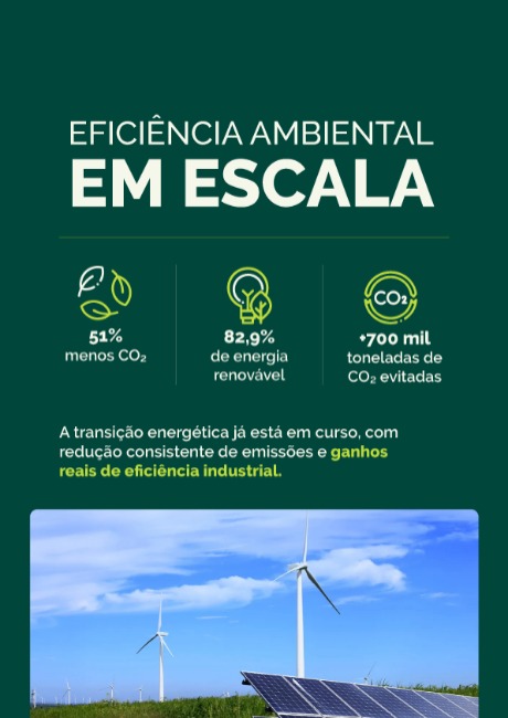 imagem2