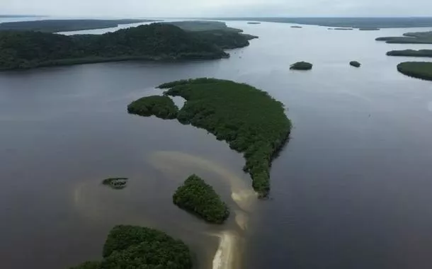 Carbono azul fortalece papel dos oceanos no combate climático