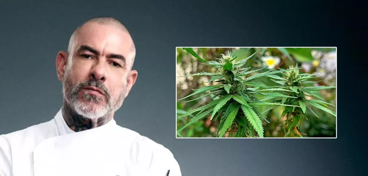 Henrique Fogaça defende acesso à cannabis medicinal e critica preconceito