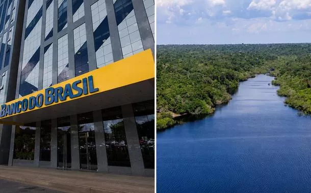 Banco do Brasil amplia aposta em créditos de carbono na Amazônia