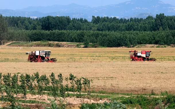 Xi Jinping pede medidas sólidas para modernizar agricultura e áreas rurais