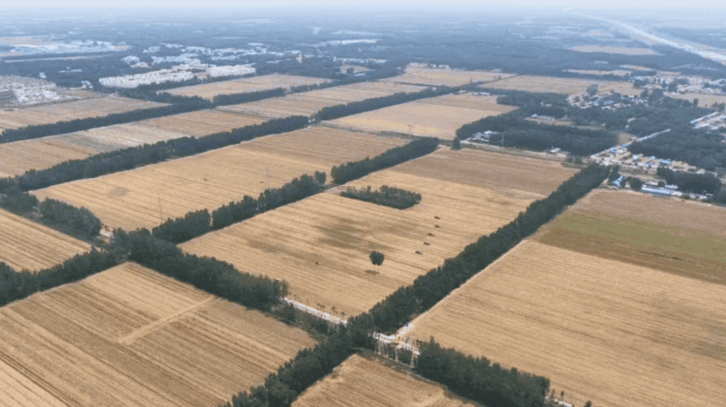 Os passos de Xi Jinping em Dezhou